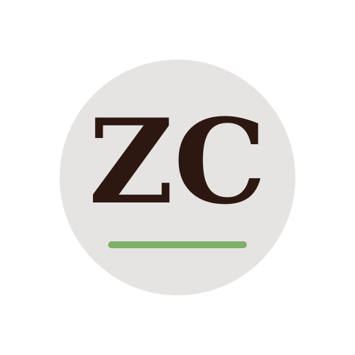 Zephyr Chimney Repair logo